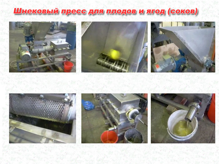 Шнековый пресс для плодов и ягод